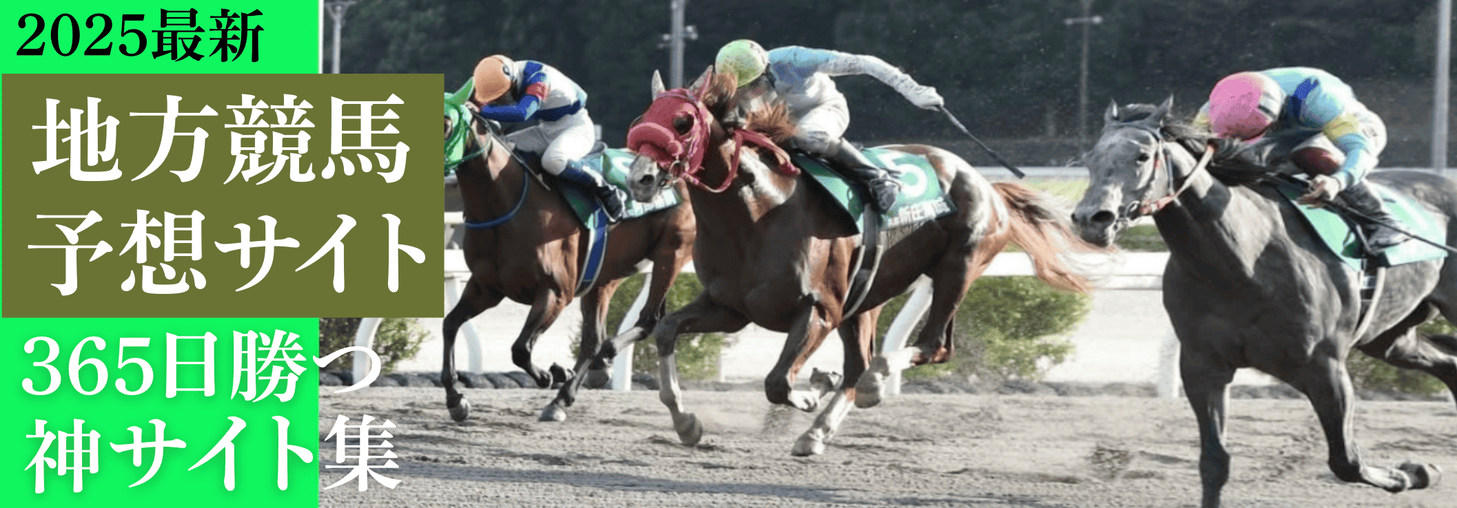 ウマ比較ランキング